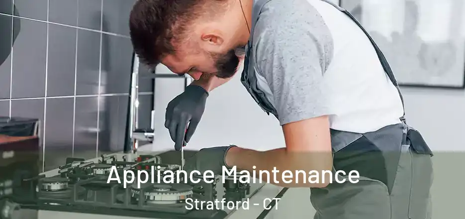  Appliance Maintenance Stratford - CT