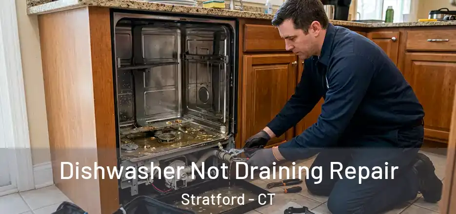  Dishwasher Not Draining Repair Stratford - CT