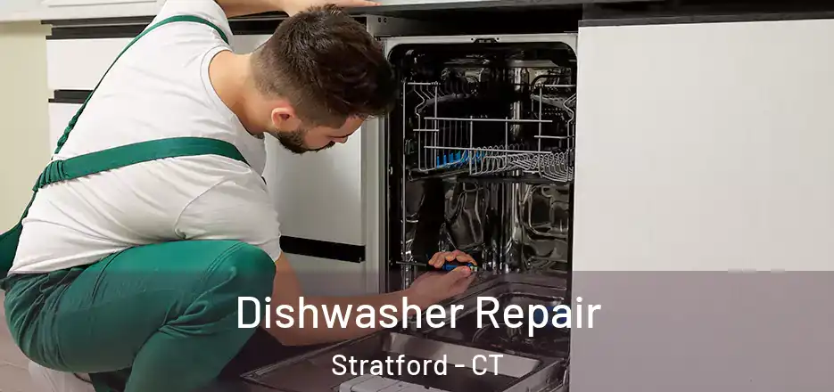  Dishwasher Repair Stratford - CT
