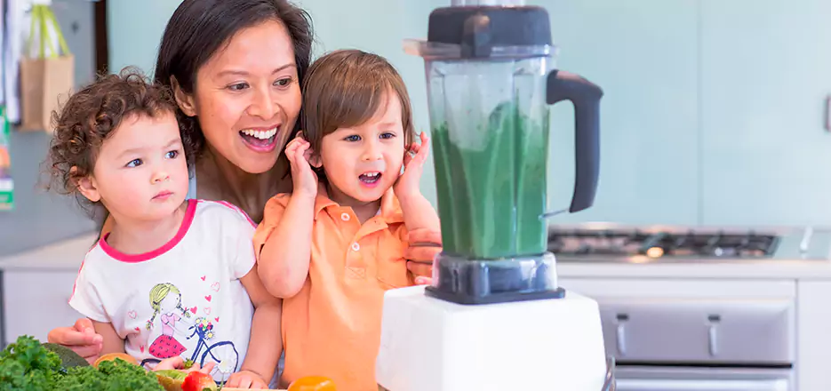 Juicer and Mixer Blender Repair in Stratford 